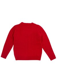 Maglione rosso lavorato a maglia con maniche lunghe, polsini e orlo a coste, scollatura rotonda e una texture liscia. La vista posteriore mostra un colore uniforme e un design semplice.