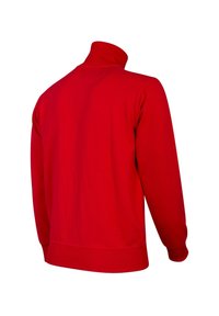 Rode pullover sweatshirt met een hoge kraag, lange mouwen en ribbelmanchetten en -zoom. Gemaakt van een gladde, zachte stof met minimale details.
