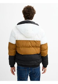 INSIDE Chaqueta de invierno - black