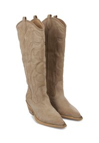 Botas de cowboy de ante beige con puntera puntiaguda y tacón medio. Presentan patrones florales bordados a lo largo del caña y bucles en la parte superior.