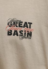 Το κείμενο σε μπεζ ύφασμα γράφει «Skiing Great Basin Sports Since 1990» με ανάμεικτες μαύρες και κόκκινες στυλιζαρισμένες γραμματοσειρές.