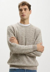 Maglione lavorato a maglia beige con texture a coste, scollatura rotonda e maniche lunghe. Presenta una vestibilità morbida e un sottile motivo a macchie.