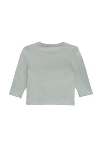 Langarmshirt in lichtgrijs, gemaakt van zacht katoen, met een ronde hals en rechte snit zonder patronen of versieringen.