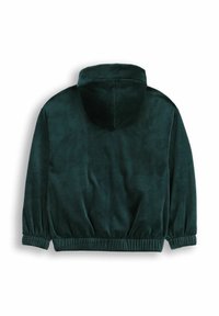 Ciemnozielona bluza z kapturem z miękkiego, pluszowego materiału. Posiada kaptur, elastyczne mankiety i luźny krój. Widok z tyłu.