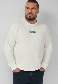 Kremowa bluza z długim rękawem, okrągłym dekoltem i ściągaczami na rękawach. Z przodu znajduje się małe, zielone, prostokątne logo na piersi. Luźny krój.