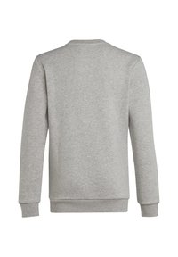 Gray sweatshirt featuring a crew neckline, long sleeves, and ribbed cuffs. Fabric appears soft with a smooth texture. Back view only.