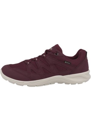 TERRACRUISE - Sneaker low - morillo