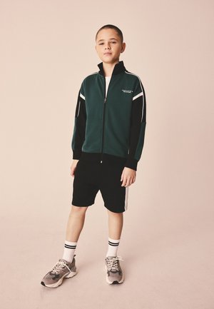 Next, REGULAR FIT - PANELLED THROUGH - Sweatjacke - green/black