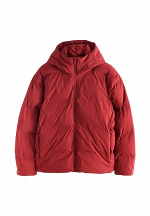 REGULAR FIT - THERMOGEN SHOWER RESISTANT PUFFER - Zimná bunda - red
