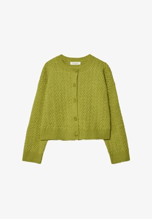 Zelený skrátený cardigan s textúrovaným vzorom rybej kosti, zapínaním na gombíky a rebrovanými manžetami a lemom. Mäkký pletený materiál.