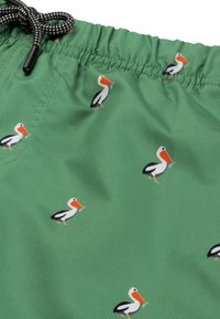 Shiwi REGULAR - Plavecké šortky - sage green