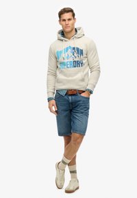 Superdry & Co MOUNTAIN RAINBOW  jasnoszary
