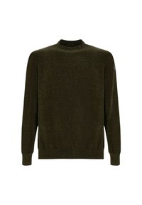Maglione kaki verde in maglia con scollo rotondo, maniche lunghe e orlo a coste. Tessuto morbido con una leggera lucentezza, con logo sulla manica.