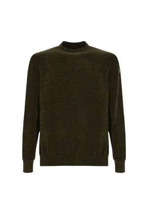 Maglione kaki verde in maglia con scollo rotondo, maniche lunghe e orlo a coste. Tessuto morbido con una leggera lucentezza, con logo sulla manica.