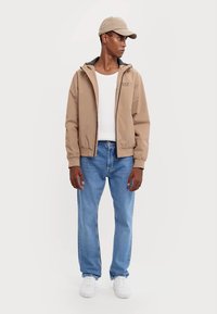 EA7 Emporio Armani GIUBBOTTO - Lengva striukė - portabella