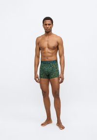 Πράσινα μπόξερ με μοτίβο λουλουδιών και σκουρόχρωμη στενή ζώνη μέσης με την ετικέτα "BJÖRN BORG", κατασκευασμένα από ελαστικό ύφασμα, εφαρμοστή σχεδίαση.