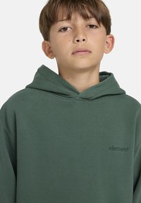 Element CORNELL 3.0  - Hoodie - tkr