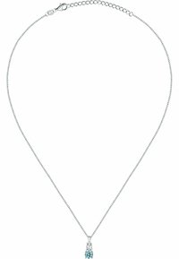 FAVS Collana - zilveren kleur