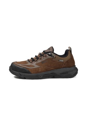 PALKA LOW MTD - Baskets basses - brown