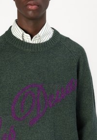 Strickpullover aus dunkelgrünem Wolle mit geripptem Kragen und lila Schreibschrift. Über einem weißen Hemd mit grünen Streifen getragen.