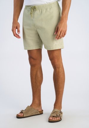Pantaloncini da bagno a righe verdi chiaro con vita elastica e coulisse. Indossati con sandali slip-on color cuoio, mostrando una vestibilità e uno stile rilassati.