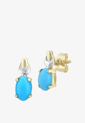 Türkiisivärvi ovaalsed kõrvarõngad kullast ja hõbedast metallist detailidega. Neil on sile, läikiv pind ning kivide kinnitamiseks on klambrikinnitused. Seljaosad on kuldsed.