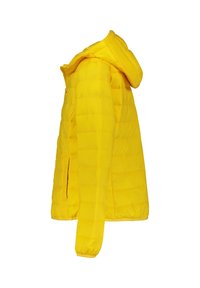 Tommy Jeans Allvädersjacka - yellow