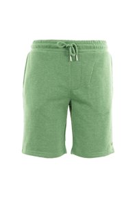 Pantalones cortos de mezcla de algodón verde con una cinturilla ajustable con cordón, bolsillos laterales y un ajuste relajado. Detalle de logo visible mínimo.