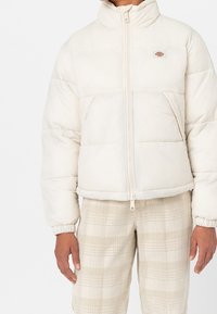 Dickies Vinterjakker - beige