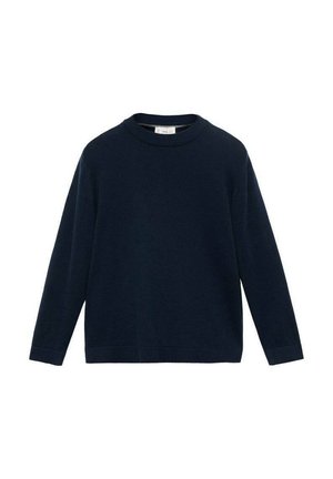 Pull-over en tricot bleu marine à manches longues, fabriqué dans un matériau doux, avec des poignets et un ourlet côtelés, et une coupe décontractée. Pas de motifs ou d'accents visibles.