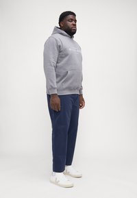Tommy Hilfiger HOODY - Sudadera - medium grey heather