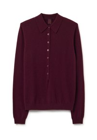 Pullover tricotato bordeaux con colletto, dotato di una chiusura a bottoni sul davanti e maniche lunghe, realizzato in un morbido tessuto testurizzato.