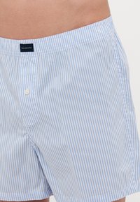 Svetlo modri in beli kratki hlače z vzorcem, izdelane iz tkanega bombaža, z elastičnim pasom in sprednjim zaklepanjem na gumb; imajo stranske žepe.