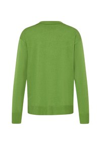 Grüne gestrickte Strickjacke mit langen Ärmeln, V-Ausschnitt, gerippten Manschetten und Saum; glatte Textur; keine sichtbaren Muster oder Hardware-Details.