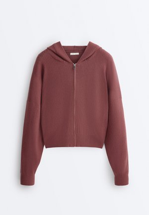 HOODED - Sweatjacke - brown