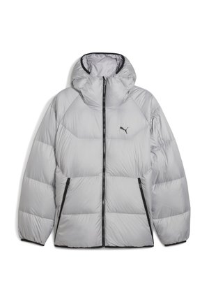 PUFFER MIT KAPUZE - Daunenjacke - gray echo