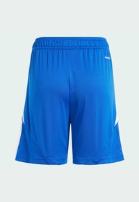 adidas Performance TIRO 24 - Kurze Sporthose - royal blue   white
