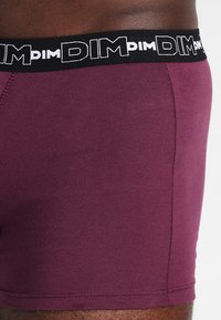 DIM 3 PACK - Bokserit - violet intense/bleu atlantique/noir