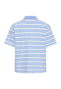 Īsām piedurknēm krekls gaiši zilā, baltā un tumšāk zilā horizontālās svītrās. Raksturīga vienkrāsaina gaiši zila apkakle un mīksta kokvilnas tekstūra.