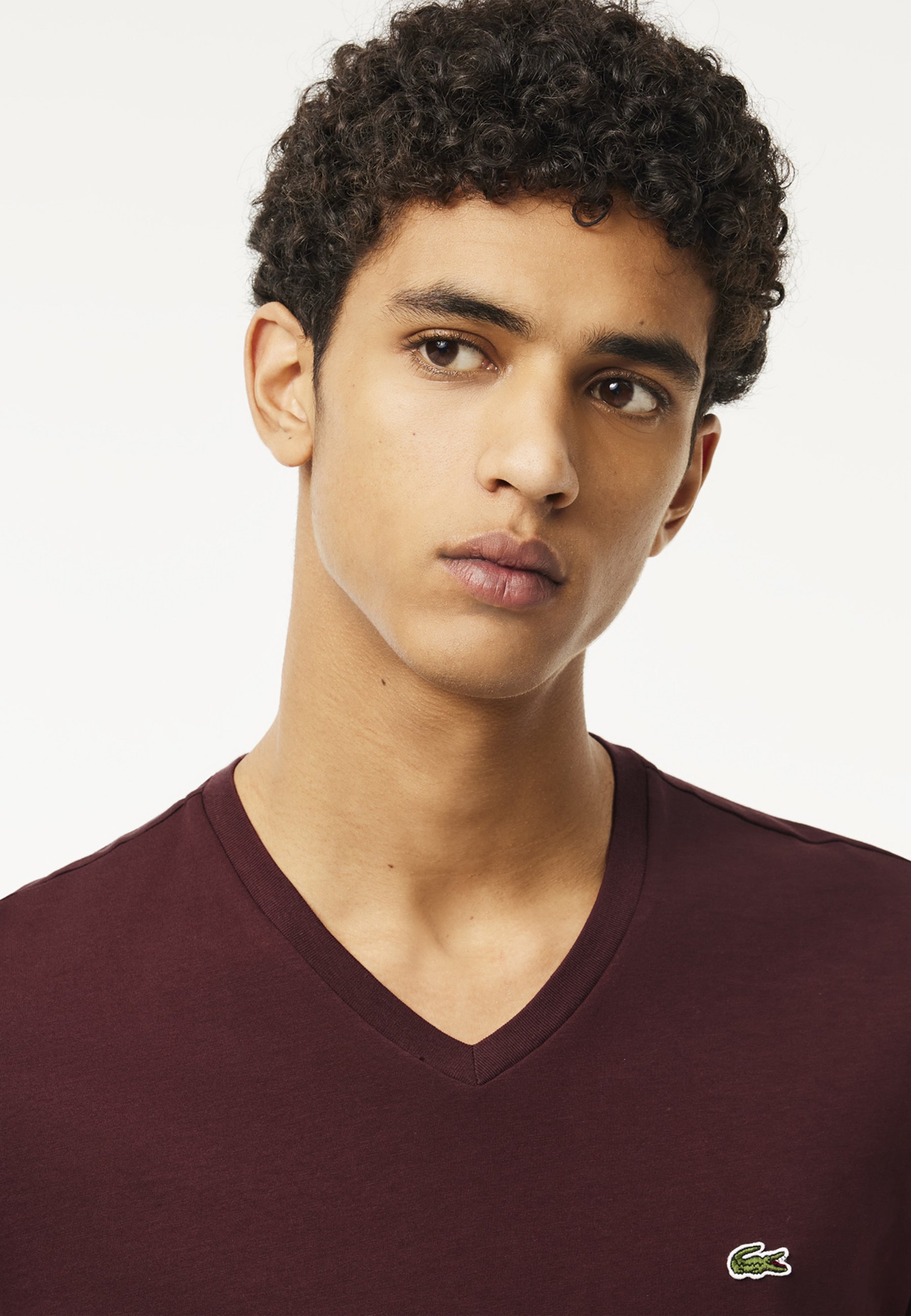 Tシャツ・カットソー LACOSTE T-shirt bordo Lacoste Lacoste Basic T-shirt - bordeaux bzd/bordeaux - Zalando