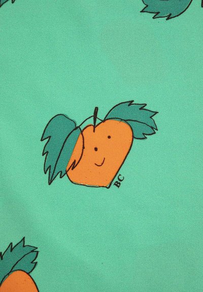 Fruit orange souriant avec des feuilles vertes et une tige sur fond bleu sarcelle, avec les petites initiales "BC" à côté.