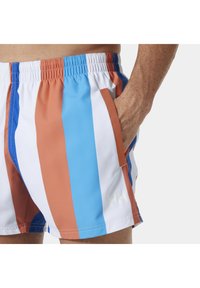 Zbliżenie dolnej części torsu osoby w pasiastych szortach kąpielowych w pionowe niebieskie, białe i rdzawe paski, ręka spoczywająca w kieszeni bocznej.