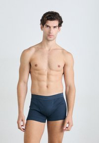 Calvin Klein Underwear TRUNK 3 PACK - Boxerbriefs - micro chip/diamond/zoni beach