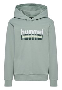 Sweat à capuche vert clair en tissu doux, avec un logo frontal blanc et vert foncé. Comprend un cordon de serrage à la capuche et des poignets côtelés.