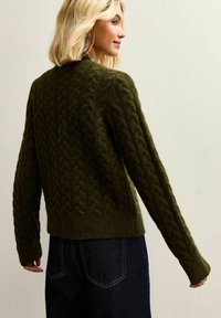 Suéter de punto en verde oscuro con un diseño de trenzas texturizadas, puños y dobladillo acanalados. La parte trasera tiene un cuello alto y un corte ligeramente recortado.