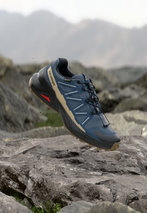 SPEEDCROSS PEAK GTX - Παπούτσια για τρέξιμο σε μονοπάτια - grisaille/spellbound/safari