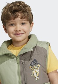 Gilet imbottito verde e marrone con zip, colletto foderato in pile e grafica di un leone dei cartoni. Indossato sopra una maglietta gialla.