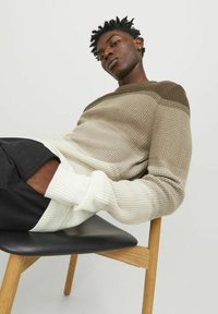 Jack & Jones FARBVERLAUF - Jumper - marshmallow