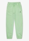 HOOP PANT - Tepláky - vapor green