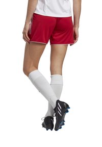 Rode sportieve shorts met witte piping, gecombineerd met witte kniekousen en zwarte voetbalschoenen met blauwe accenten. Achteraanzicht.